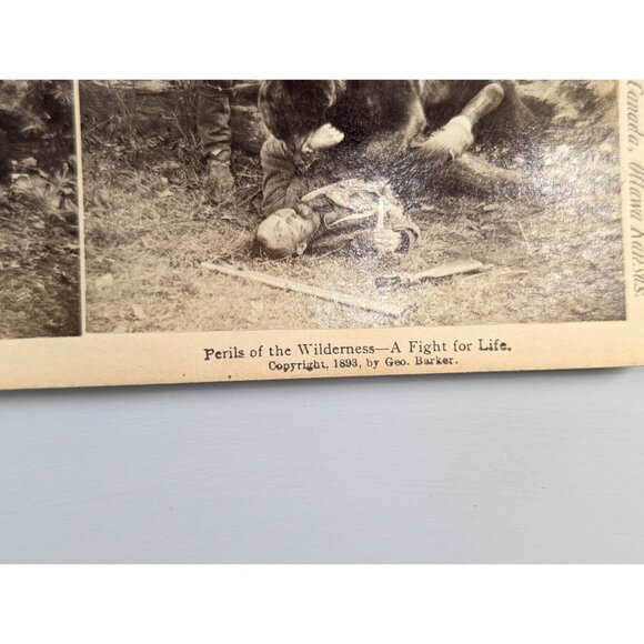 Antique Stereoview card of a Bear Attack "Perils of the Wilderness" Prize - Picture 7 of 9